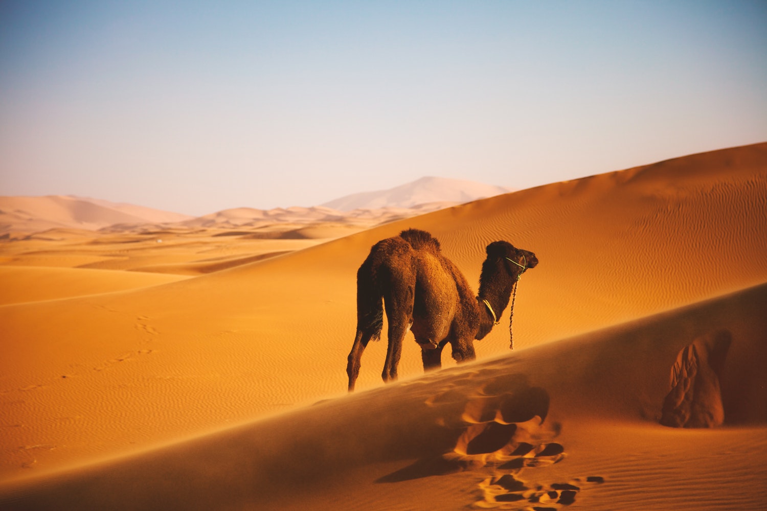 photo 1518978288375 f36cefcc992e - Der Sahara-Staub: Wie wirkt er sich auf die iberische Halbinsel aus?
